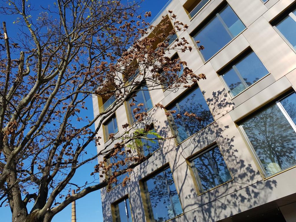 ein Gebäude mit einem Baum davor in der Unterkunft MSapartamenty Centrum 3 in Posen