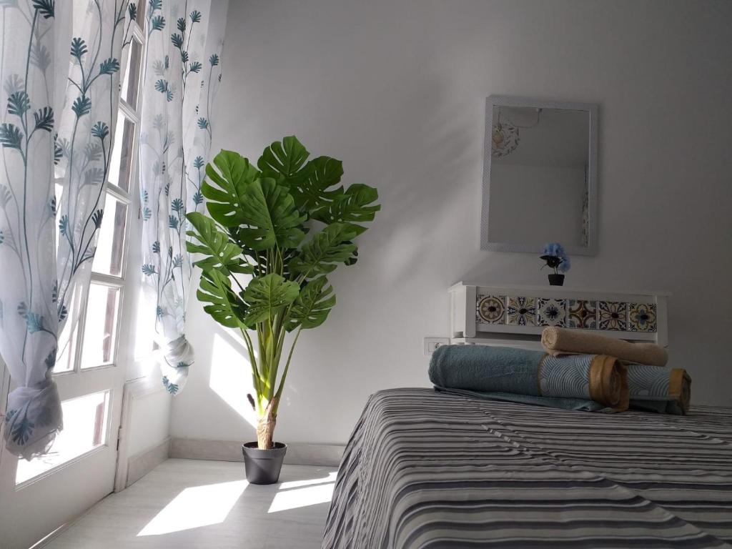 Un dormitorio con una planta en maceta y una ventana en Tropical Loft, en Corralejo