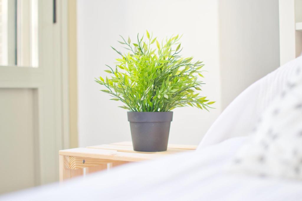 Posteľ alebo postele v izbe v ubytovaní MalagaUrbanRooms - Central Suites