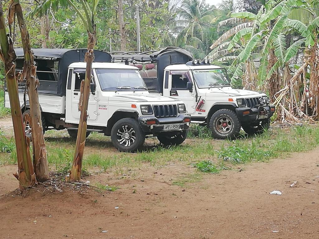 Sigiri Sky Home & TreeHouse - 18