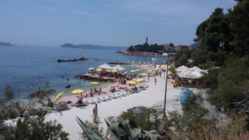 Príroda v okolí apartmánu