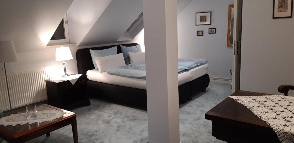 Pension Gräfliche Villa - Camera Matrimoniale Deluxe Con Doccia