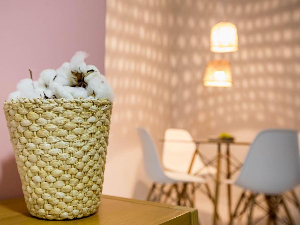  Flor de Algodão! Apartamento próximo ao Centro Político