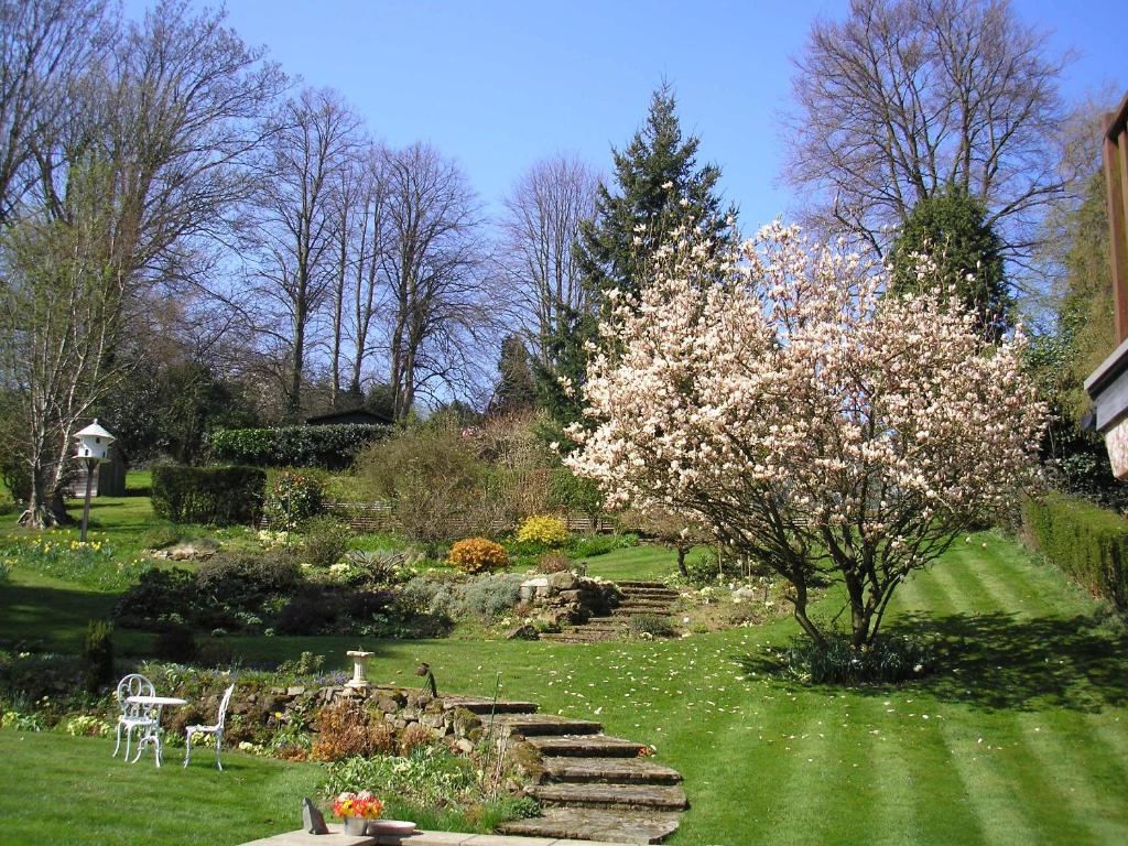 un jardin avec des escaliers et un arbre fleuri dans l'établissement Chart House Bed and Breakfast, à Dorking