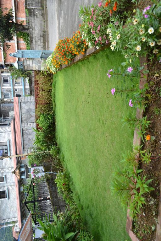 Jardí fora de Hotel Global Inn