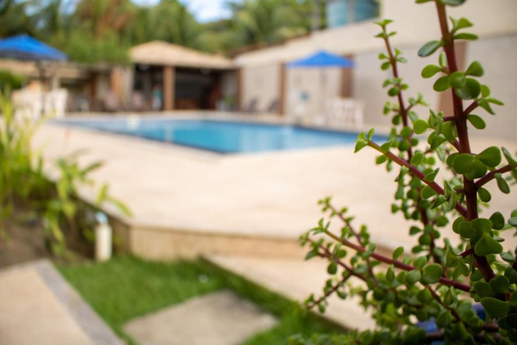 Bazén v ubytování Hotel Amendoeiras nebo v jeho okolí