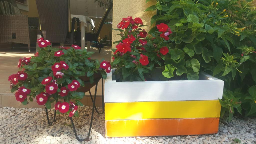Ogród w obiekcie Apartmani Lučica 2