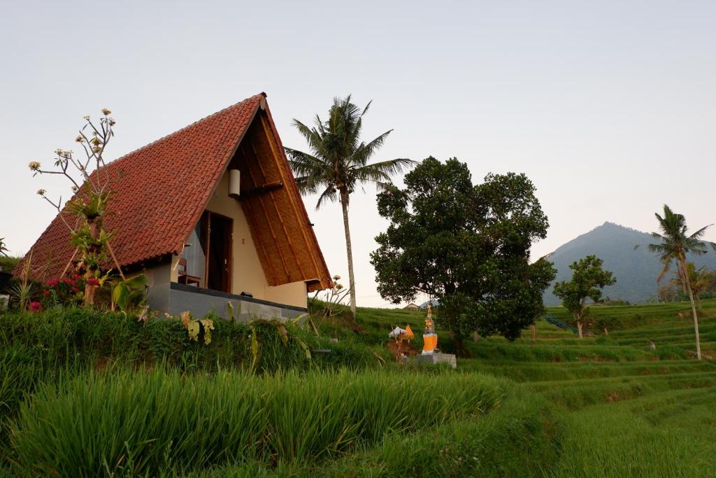 Zahrada ubytování Padi Bali Jatiluwih