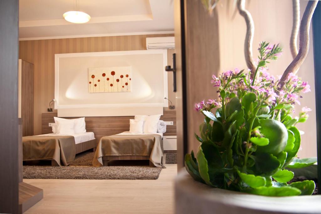 Hotel Confort - Resim 8