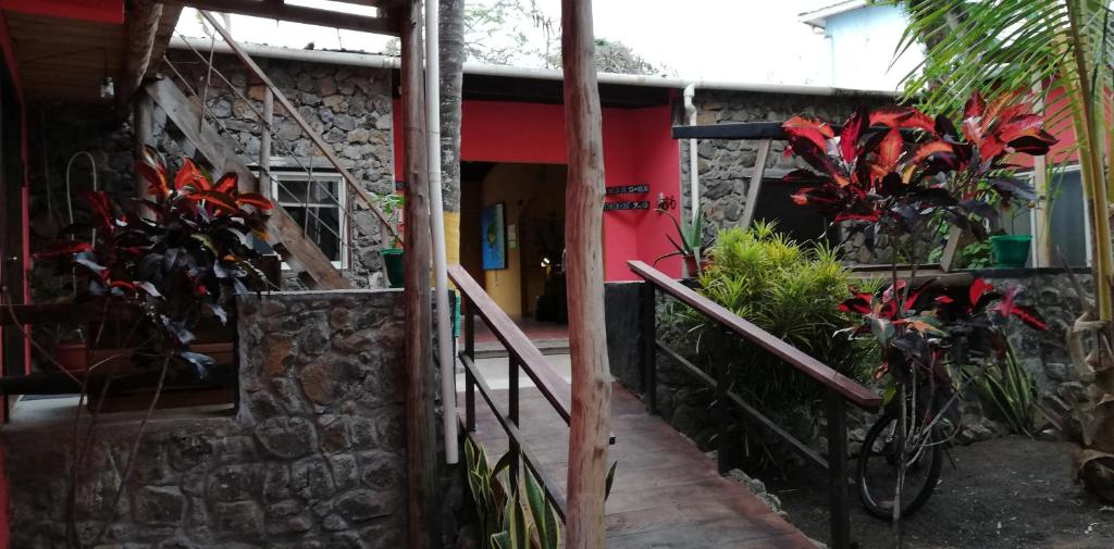 budynek z grupą roślin na boku w obiekcie Galapagos Morning Glory w mieście Puerto Ayora