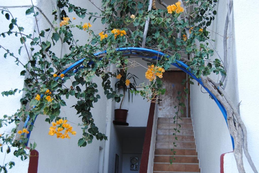 Fotografie z fotogalerie ubytování Sailors Apartments v destinaci Elounda
