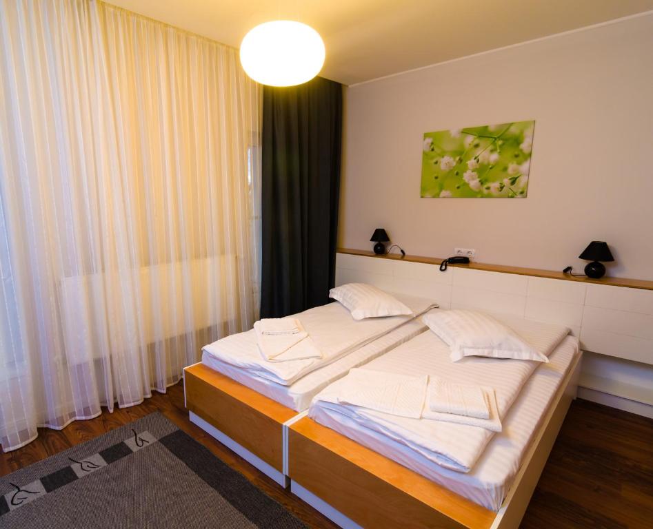 Pensiunea La Broscuta - Twin Room