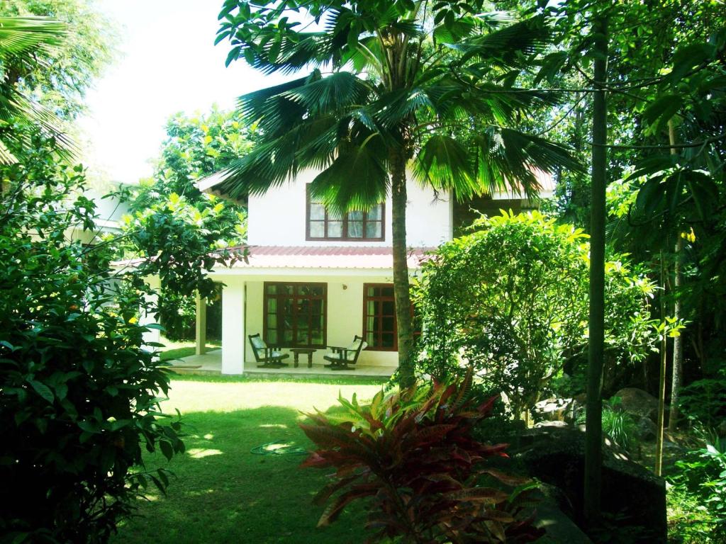 una casa blanca con una palmera delante de ella en La Rocaille, en Baie Lazare Mahé