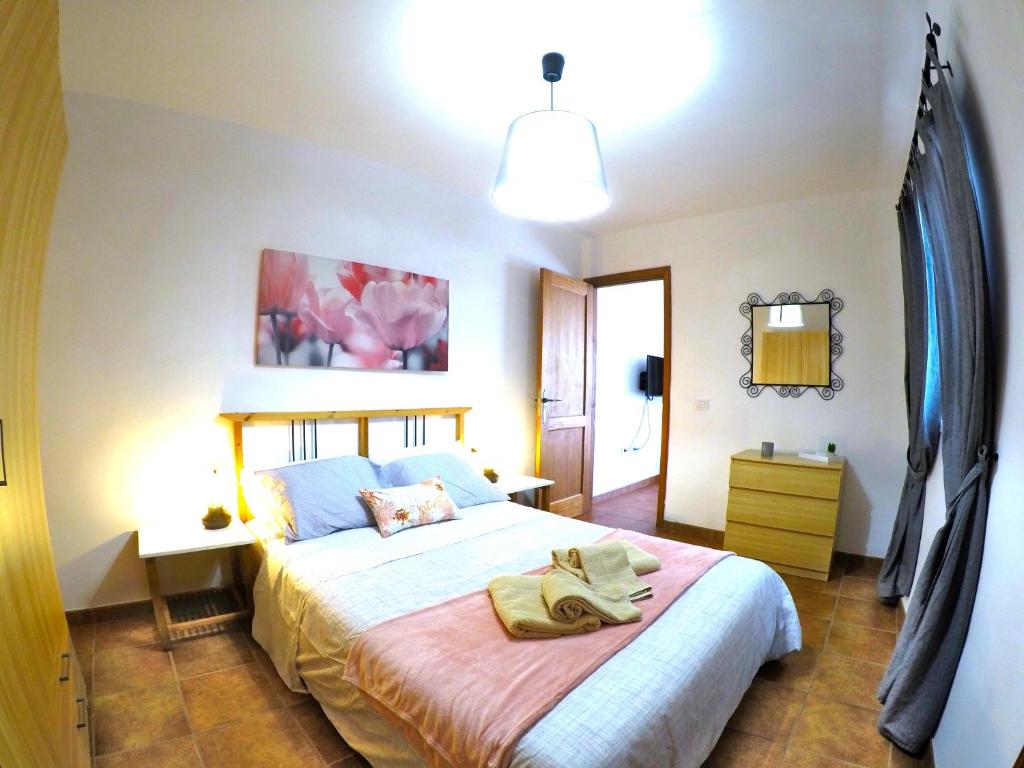 a bedroom with a large bed with a pink blanket at Apartamentos Ester in Santa Cruz de Tenerife