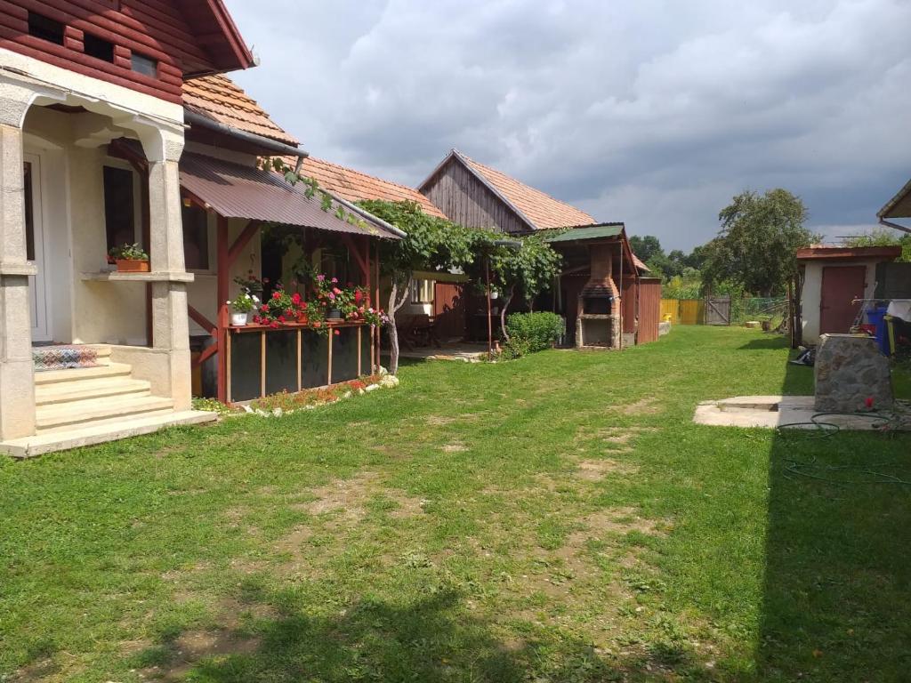 a yard of an old house with flowers in a yard at Casa Argentina in Cârțișoara