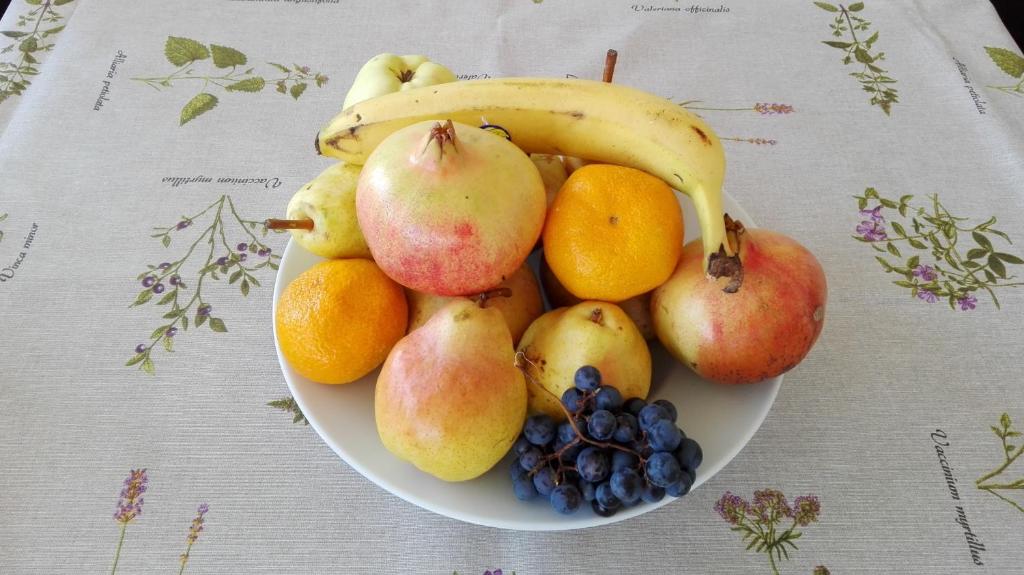 Hrana v oz. blizu apartmaja