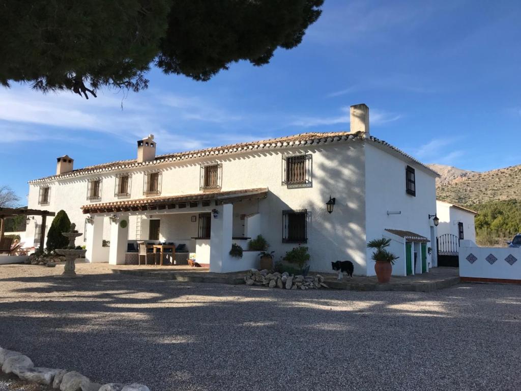 a large white house with a large driveway at B&B Cortijo El Ciruelo in Chirivel