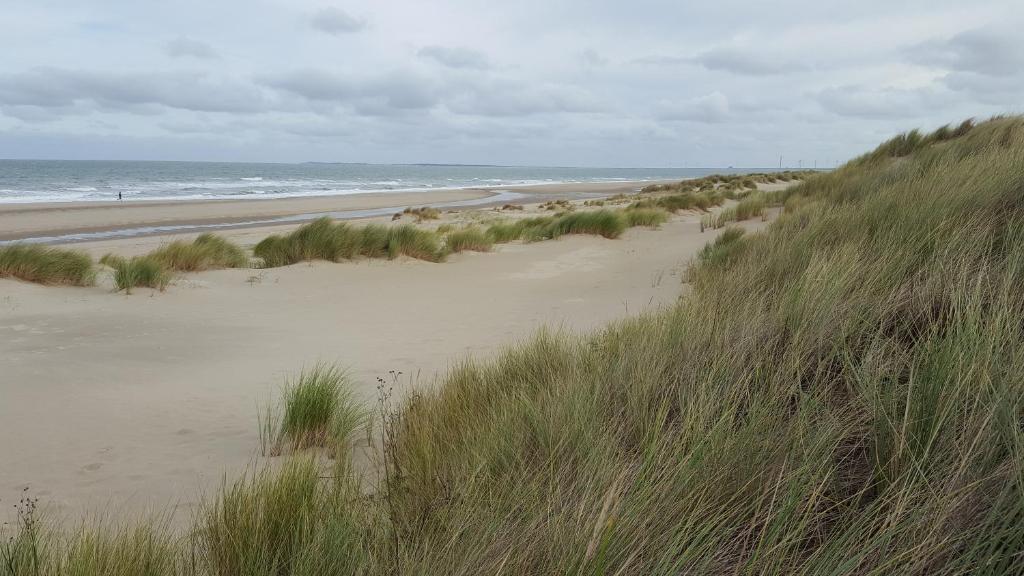 a sandy beach with the ocean in the background at Augustinushof 13 in Vrouwenpolder