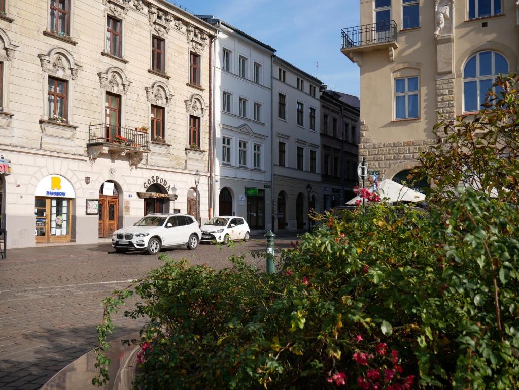 Ermine Suites - Resim 25