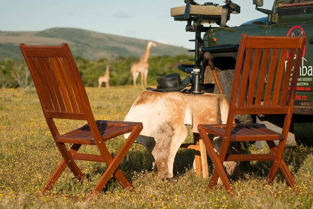 Gallery image of Temba Private Game Reserve in Grahamstown