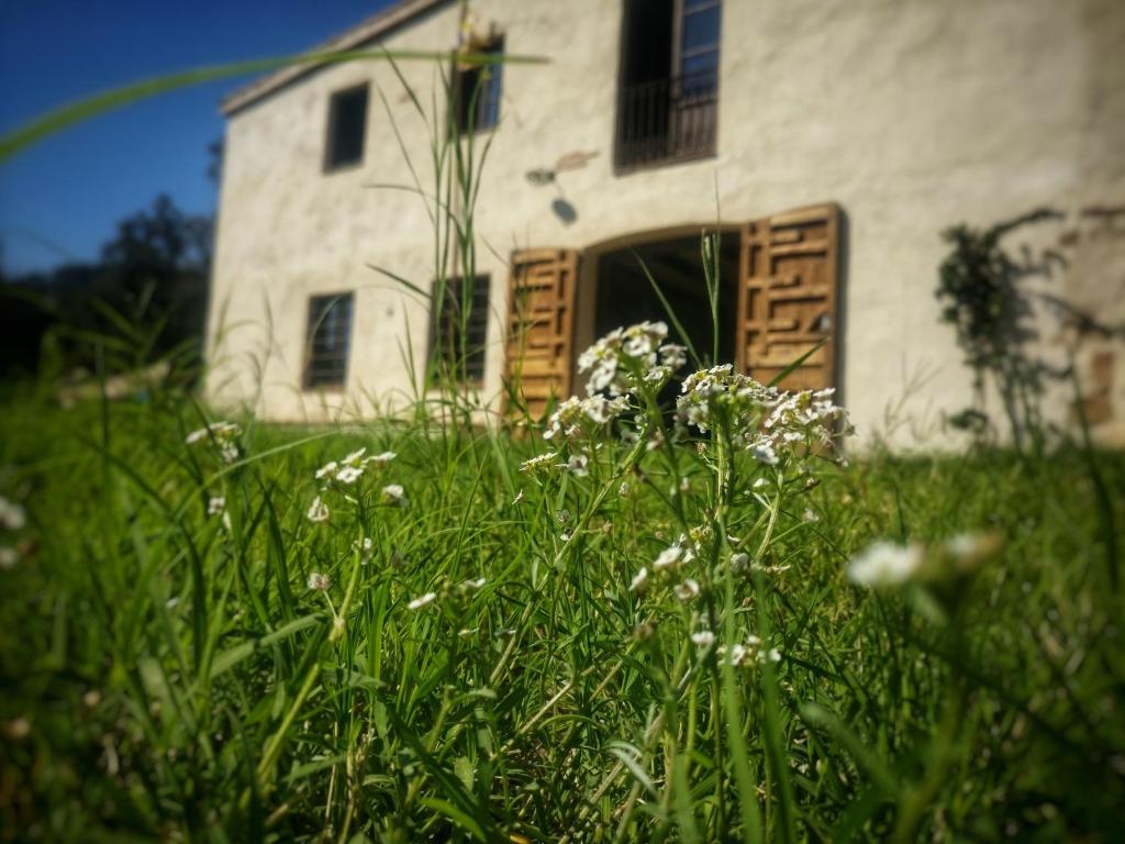 uma casa branca com um campo de relva e flores em Masia Mediterranian Country House Ca l'Isidre Torrent em Sant Cebrià de Vallalta
