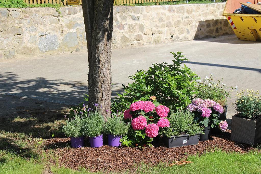 Zahrada ubytování Pension Mois
