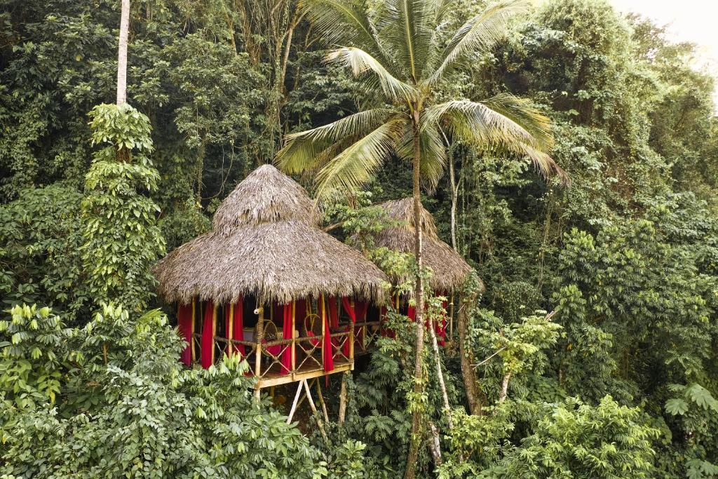 una cabaña en la selva con una palmera en Dominican Tree House Village en El Valle