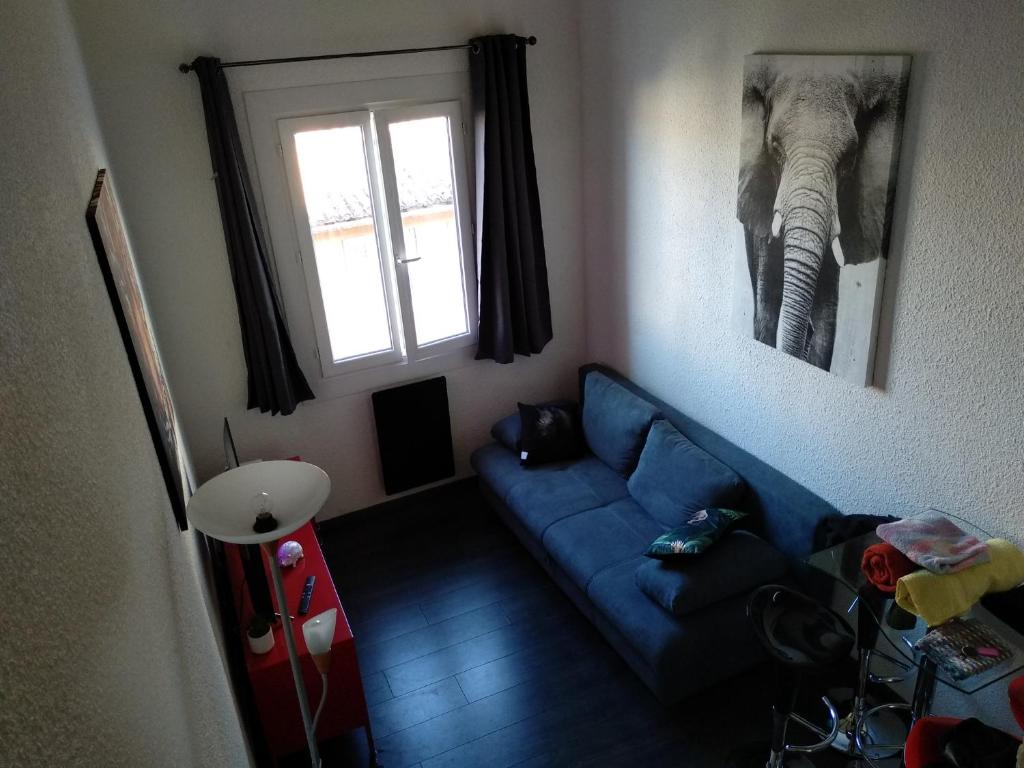 un soggiorno con divano blu e foto di un elefante di Duplex vieux port appartement complet 4 couchages climatisé entire apartment 2 beds for 4 persons a Marsiglia