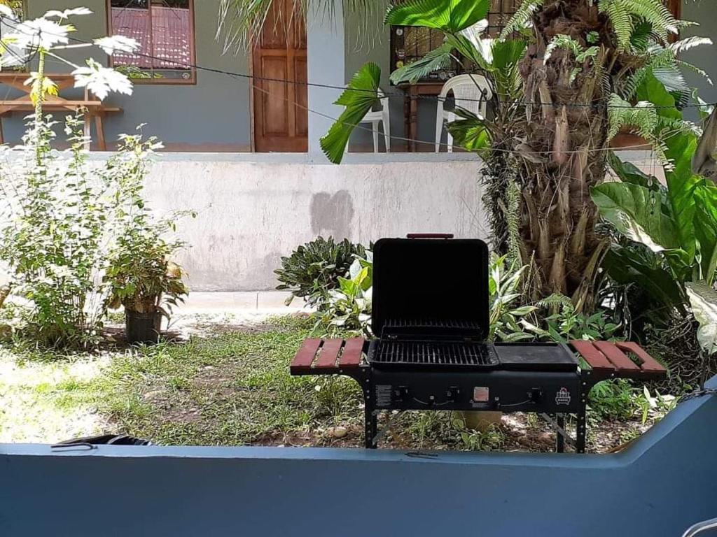 Zahrada ubytování Cabinas Mifran