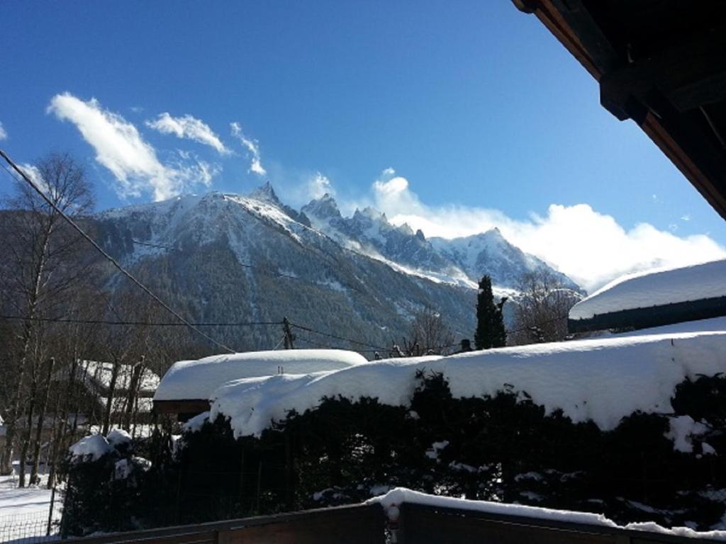 Chalet Les Lupins - 两居室小木屋
