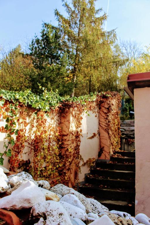 Fotografie z fotogalerie ubytování Apartmá Za kopcem v destinaci Boskovice