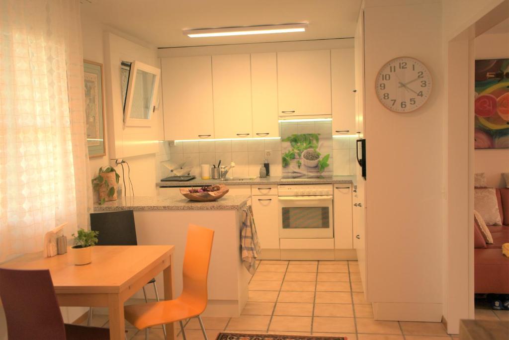 Kuchyň nebo kuchyňský kout v ubytování Modern, Cozy Large Apartment with Terrace in Basel- Allschwil