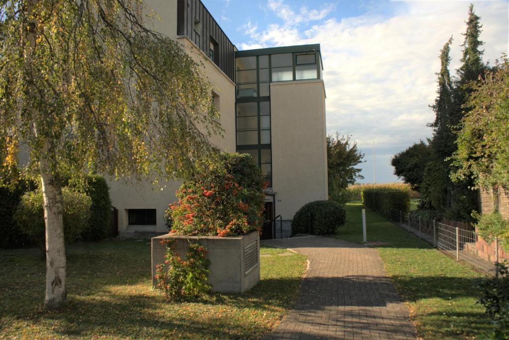 Zahrada ubytování Modern, Cozy Large Apartment with Terrace in Basel- Allschwil
