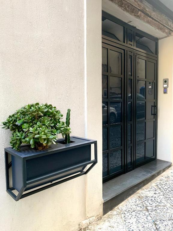 SECRET ROOM NAPLES historic center - 10