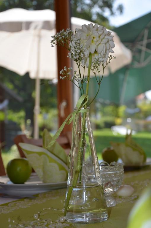 Zahrada ubytování Sonnenblumenhof