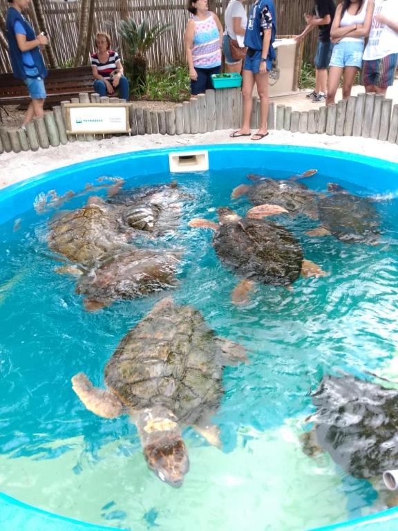  Condomínio Tropical