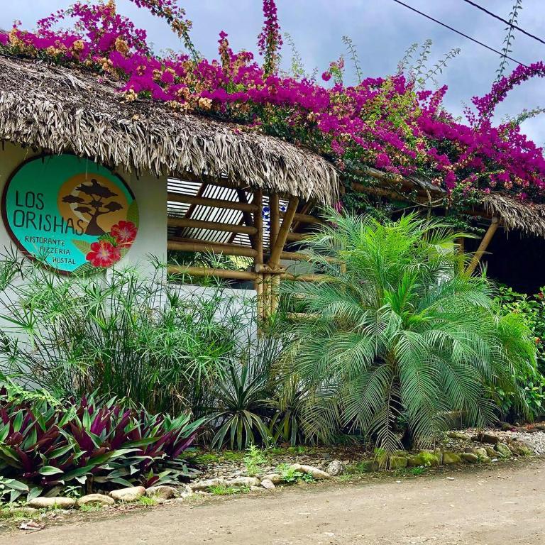 Zahrada ubytování Hostal Los Orishas