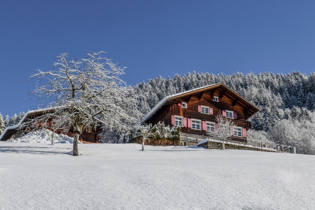 una baita di tronchi nella neve con un albero di Chalet "Altes Schulhaus" a Schruns