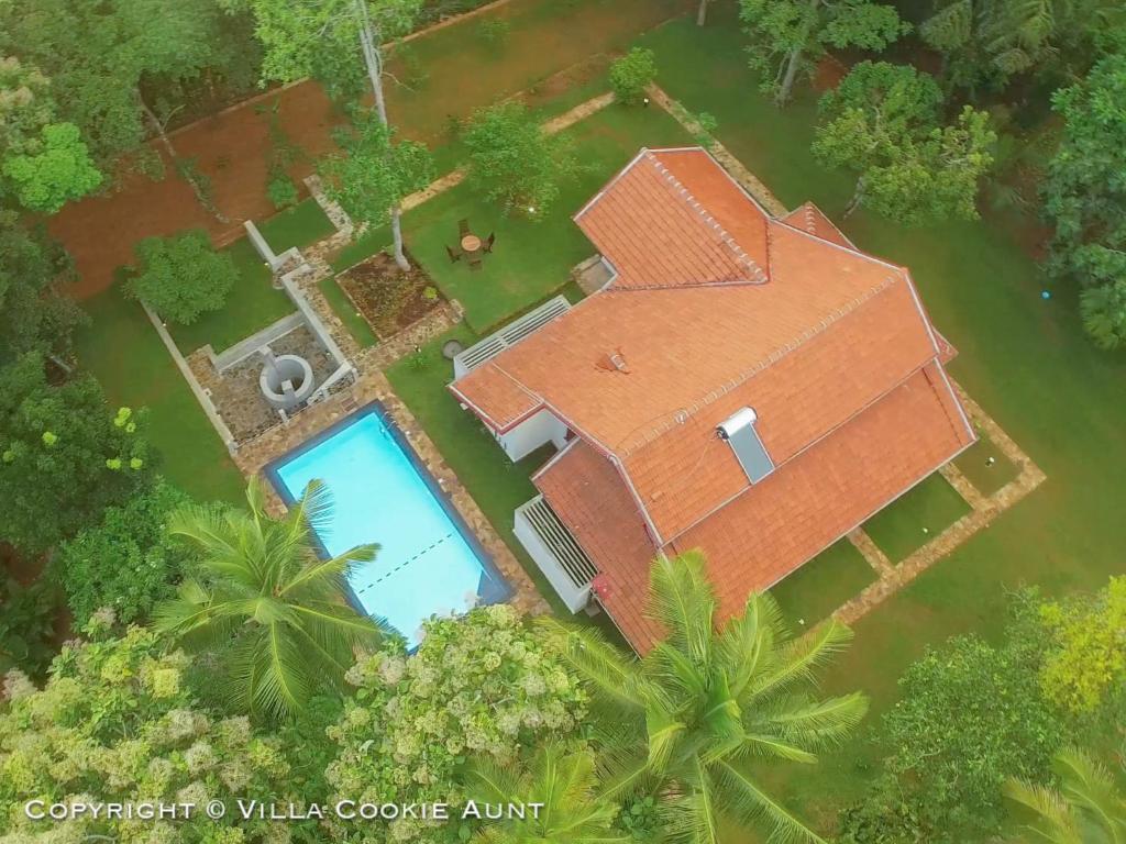 
a house that is in the middle of a forest at Villa Cookie Aunt in Bentota
