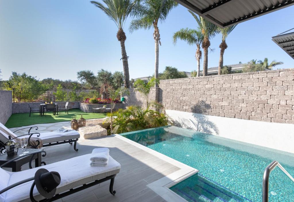 a swimming pool in a backyard with palm trees at Dream Island Spa & Health Resort in Sede Yo‘av