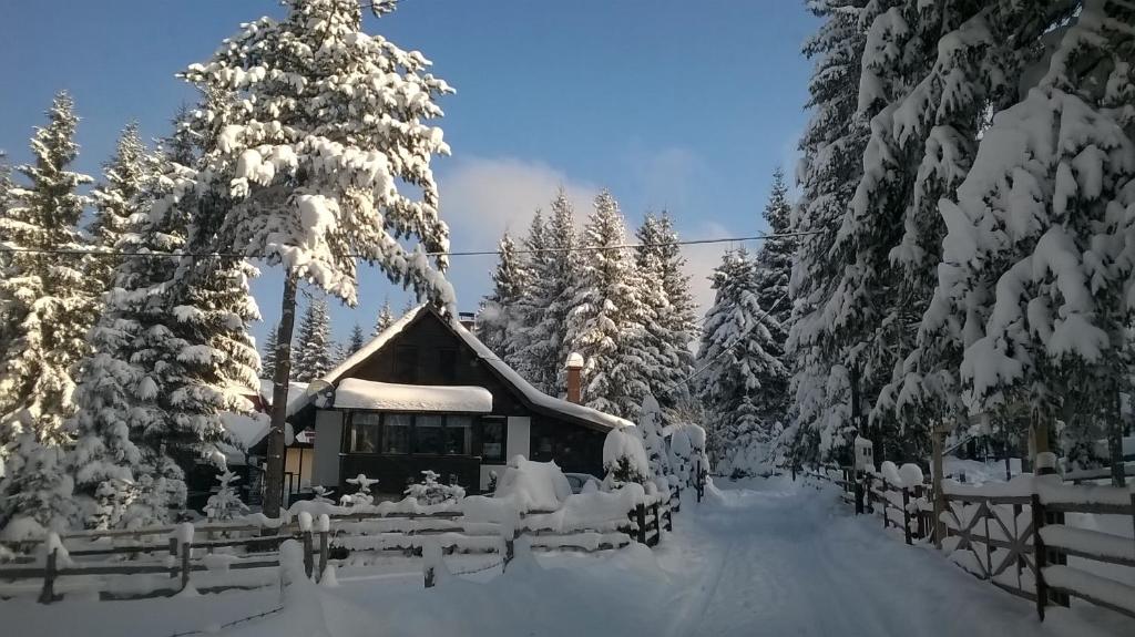 una cabina coperta di neve accanto ad alcuni alberi di Planinska kuća MAK a Jahorina
