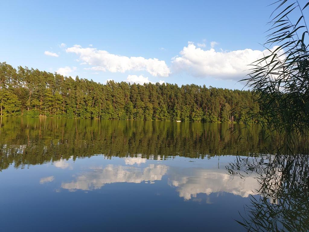 Príroda v okolí dovolenkového domu