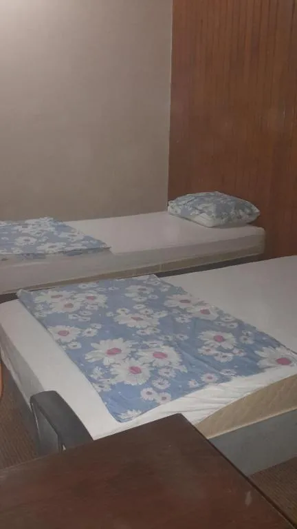 4 Yataklı Kadın Yatakhanesinde Yatak -Ranza, Istanbul, Turkey