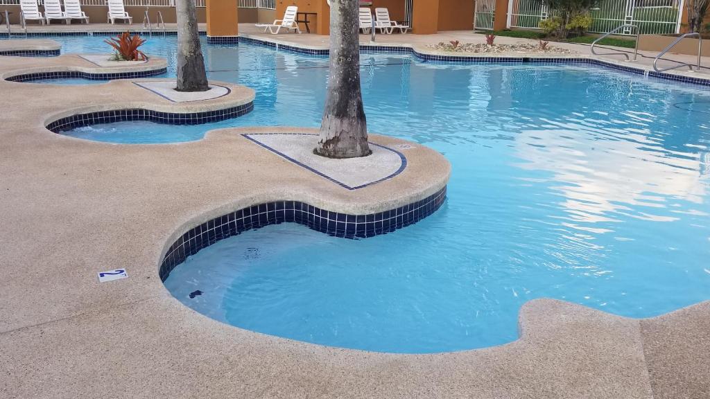 einen Pool mit Palmen in einem Hotel in der Unterkunft Tropical Delightful Guest Studio in Canovanas