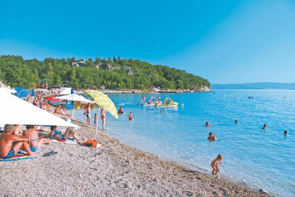 Príroda v okolí apartmánu