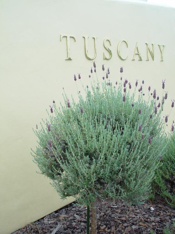 Bella Tuscany Motor Lodge - Resim 31