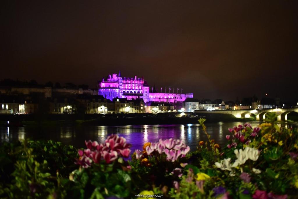 a lit up building with purple lights at night at Les Studios de Soizick in Amboise