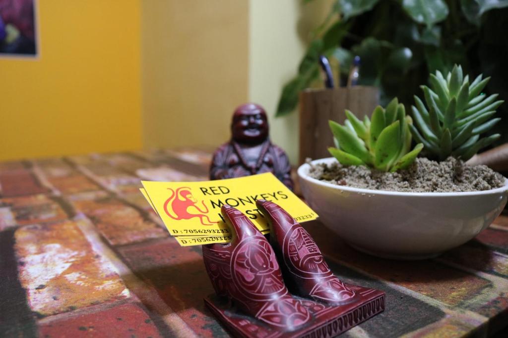 Fotografie z fotogalerie ubytování Red Monkeys Hostel v destinaci Arambol