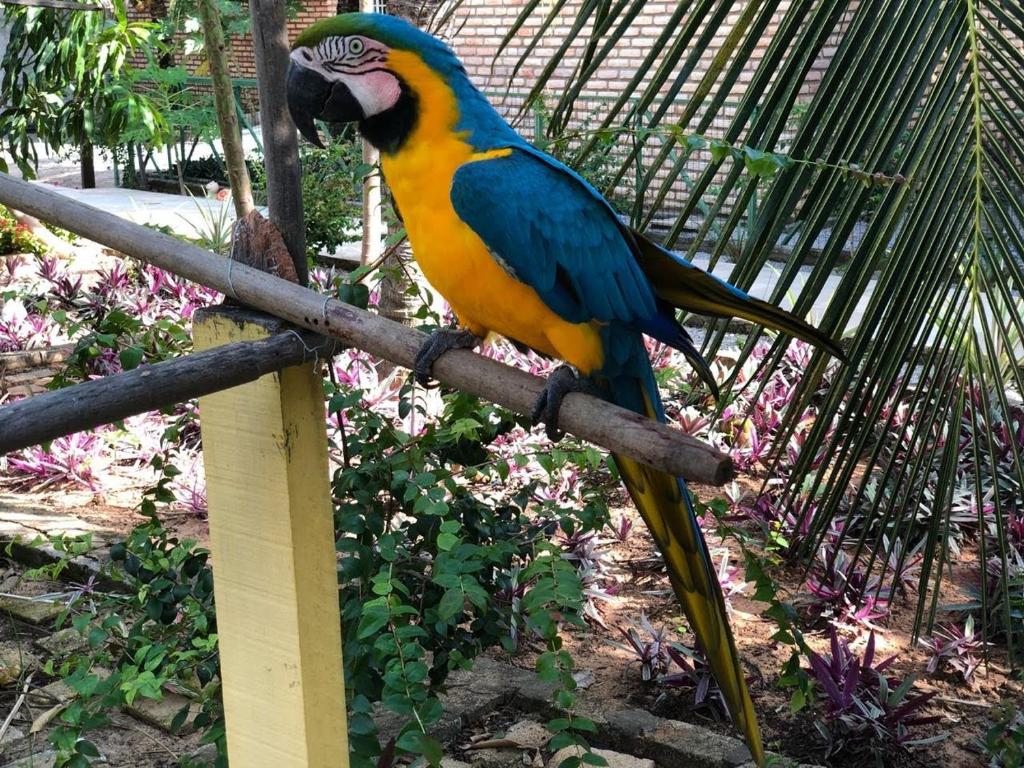  Chacara do Alemao