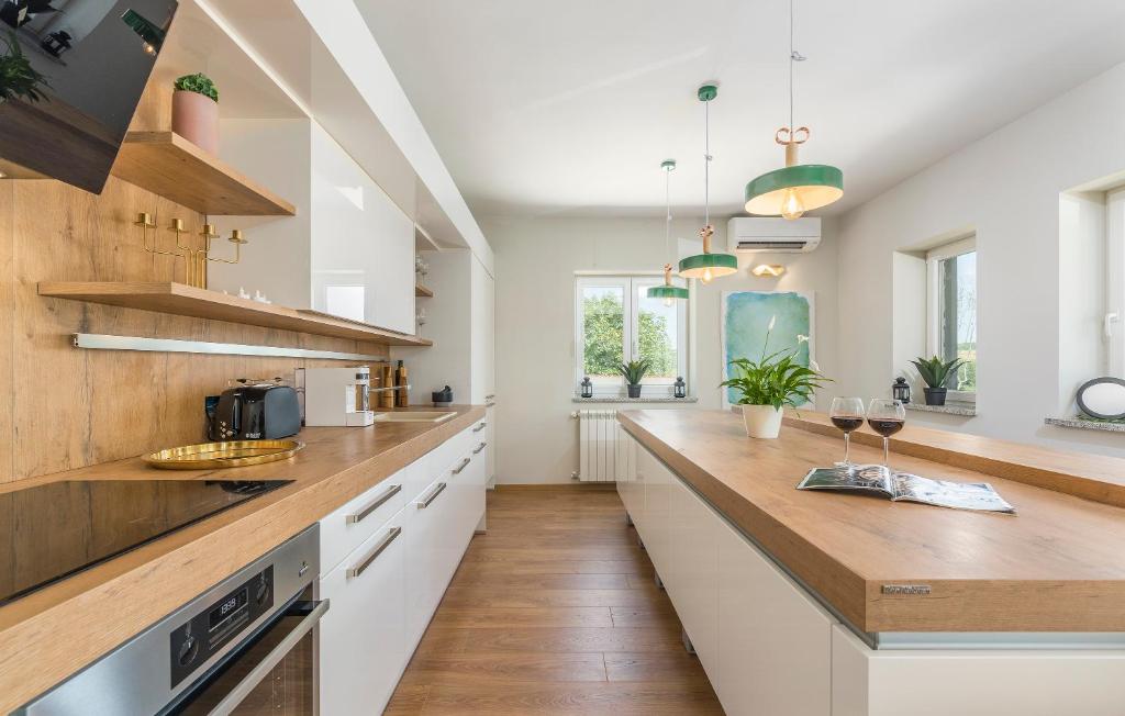 Kuchyň nebo kuchyňský kout v ubytování BIG Promotion, Villa Serenitas